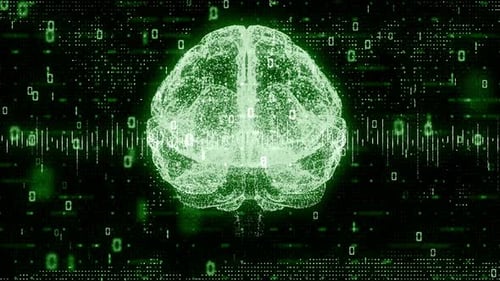 Brain Equalizer 4k
