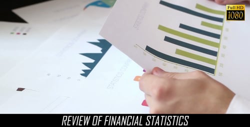 Analyst Reviews Business Charts and Graphs in Office