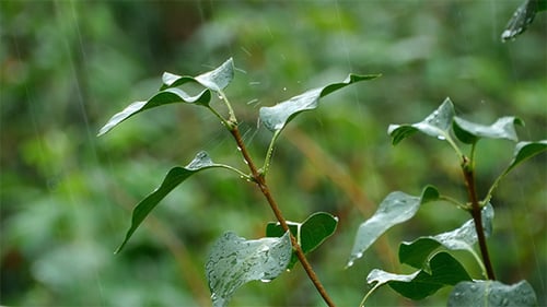 Lluvia