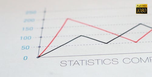 Company Statistics Graph for Business