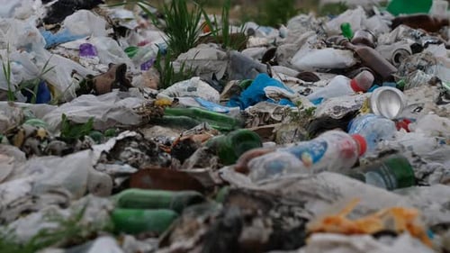 Overflowing Garbage and Litter Pollution