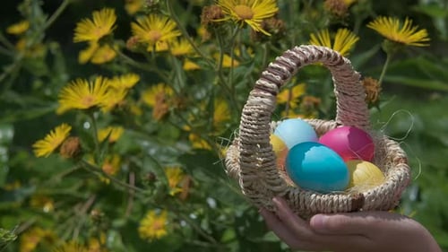 Ostern auf dem Feld.