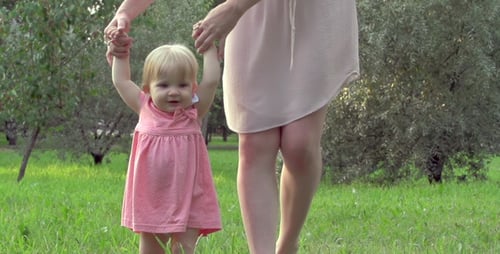 First Steps
