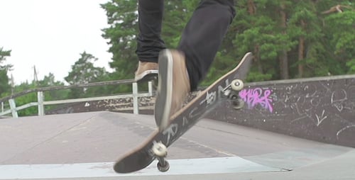 Flip 360