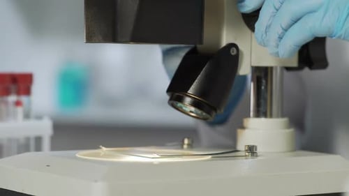 Lentille d'objectif du microscope ajustée pour étudier l'échantillon en laboratoire