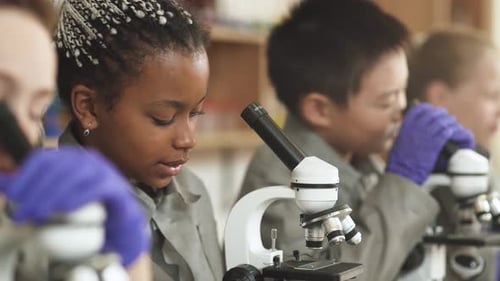Lesson in a Modern School, Kids Look at Microscopes and Communicate in a Chemistry Lesson