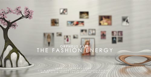 The Fashion Energy - Photo Gallery