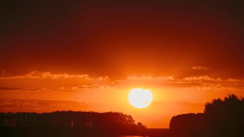 Große Sonne in lebhaftem, schönem Sonnenuntergang, Sonnenschein über Sommerlandschaft, Landstraße und Wald