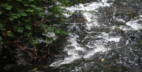 Creek 3