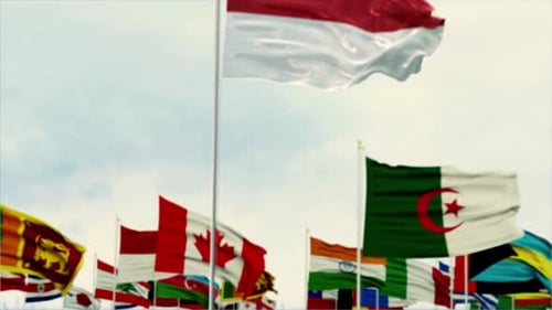 Waving National Flags of the World for Global Concepts