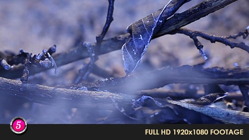 Fire Burns Inflames 31