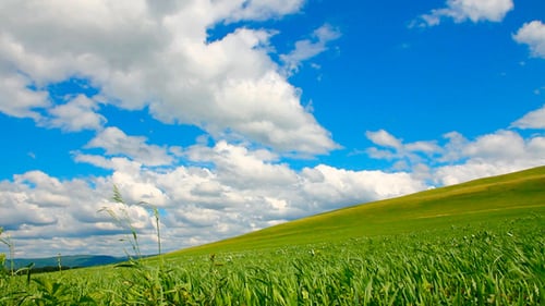 Green Hill With Grass Sky