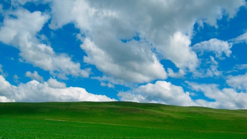 Grass Under Cloudy Sky