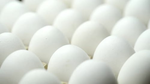 Close Up View of White Eggs in Carton