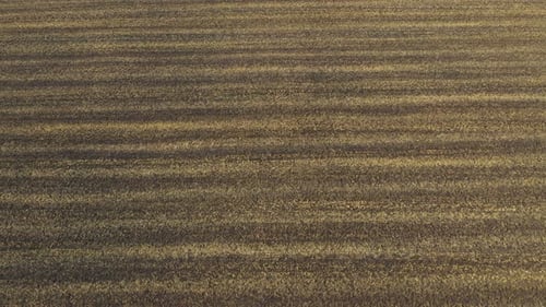 Aerial View Over The Field Background