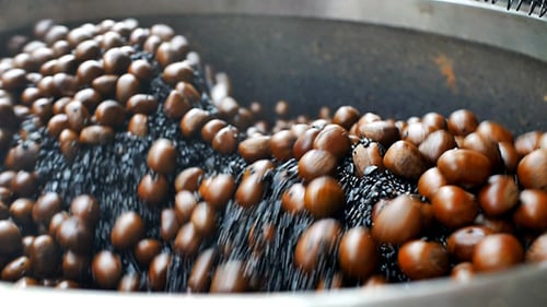 Machine Roasting Chestnuts in a Large Bowl