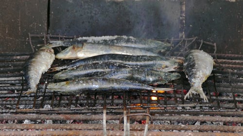 Grilled Sardines Cooking Over Hot Coals