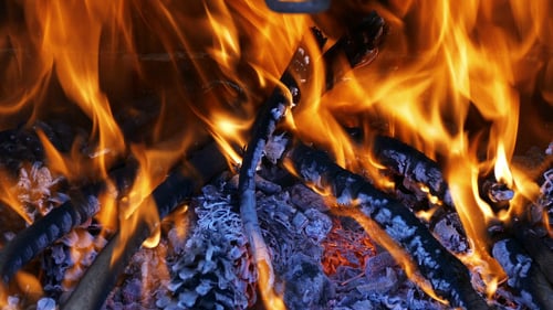 Burning Fire Consuming Coal and Wood