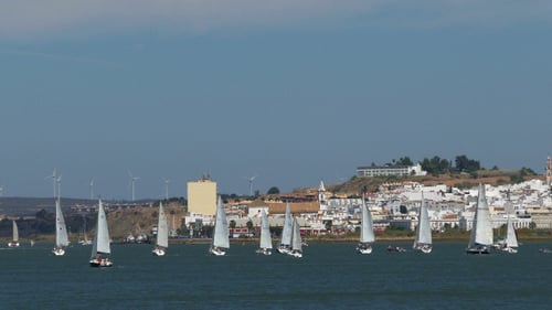 Many Sailing Yachts Moving in the Bay 885