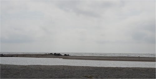Sea 2