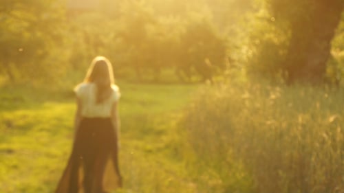 Woman Walking with Dogs in Golden Light