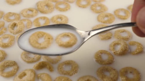 Cereal Rings Served with Milk for Breakfast