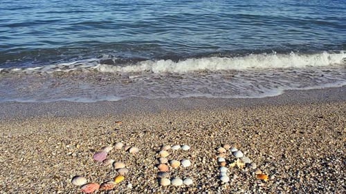 Seashells Spell 'Sea' on Sunny Pebble Beach