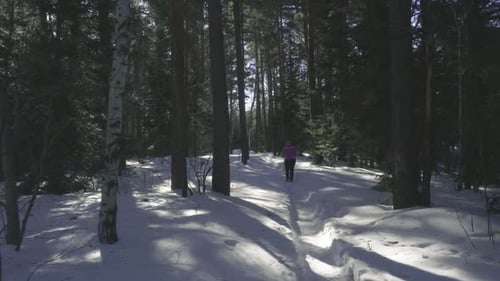 Woman Walking in Winter Forest