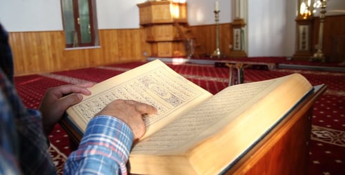 Reading Quran