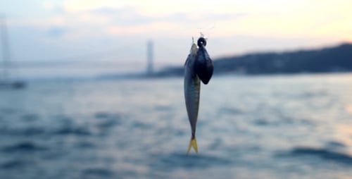 Fishing