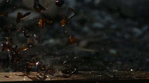 Bouteille en verre fracassée au Ralenti à 1500 images par seconde - BOTTLE SMASH PHANTOM