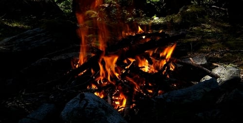 Fire 1