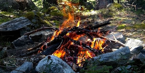 Fire 3