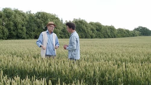 Two Male Handsome Farmers Having Talk During a Meet in a Wheat Field