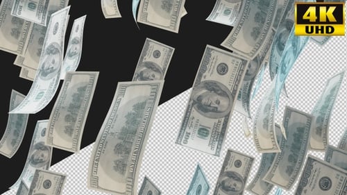 Dollars Big Money With Alpha Channel Video Loop V2
