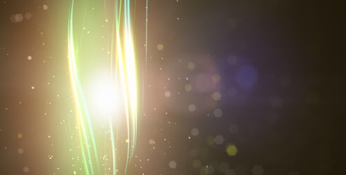 Particles and strings