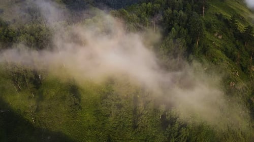 Mountain Smoke on a Green Mountain