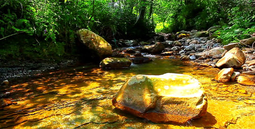 Mountain Stream 12