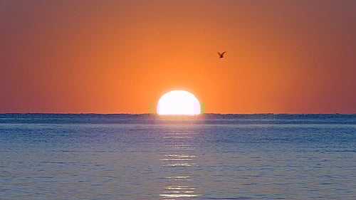 Ocean Sunrise
