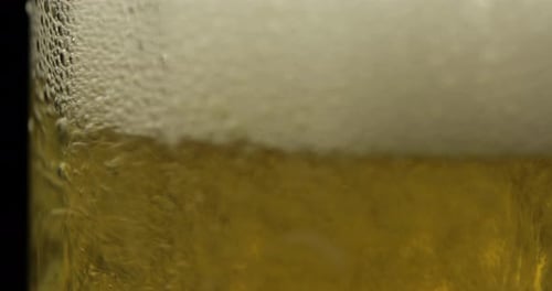 Beer Bubbles and Foam Inside Glass Close Up