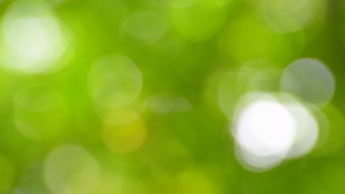 Natur Bokeh 3