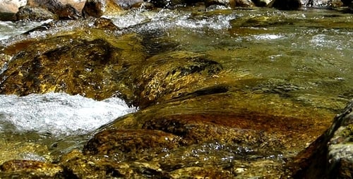 Mountain River 5