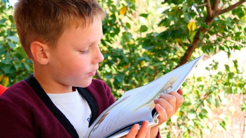 Junge liest Buch im Park