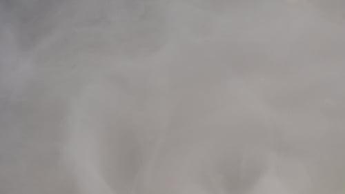 Fog 2