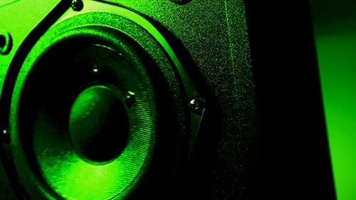 Woofer Cone In Motion 153