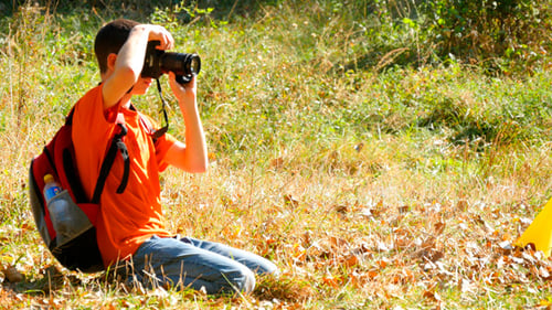 Child Takes Pictures in Grassy Autumn Field