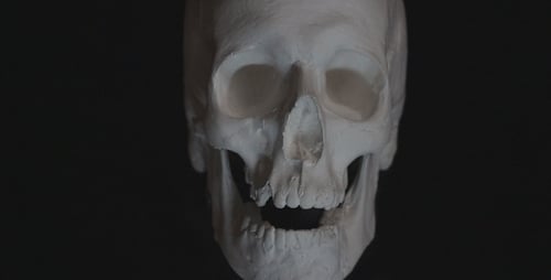 Talking Skull