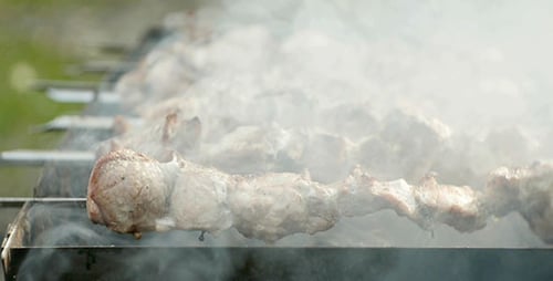 Cooking Kebab On The Grill 5