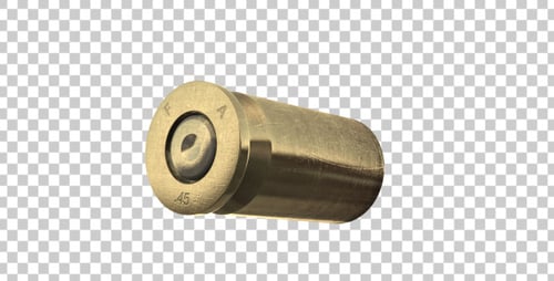 Bullet Shells .45