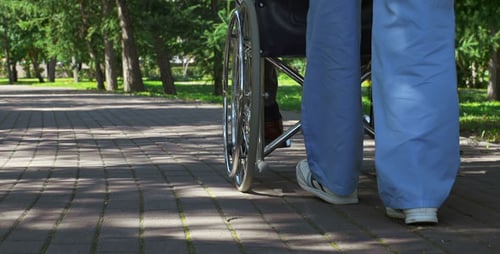 Health Professional Pushing Person in Wheelchair Through Park